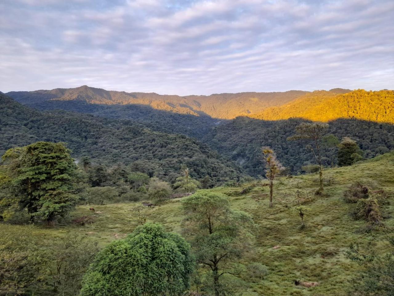 Finca Del Cielo