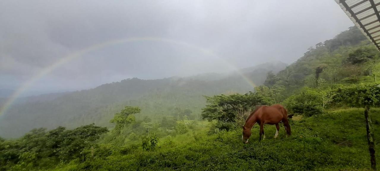 Finca Del Cielo