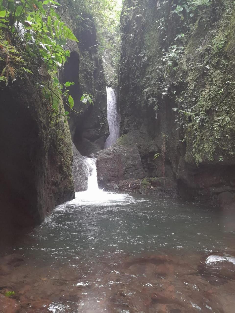 Finca Del Cielo