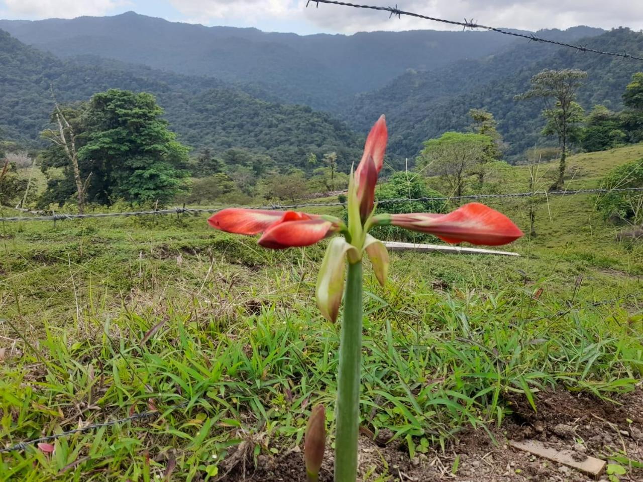Finca Del Cielo