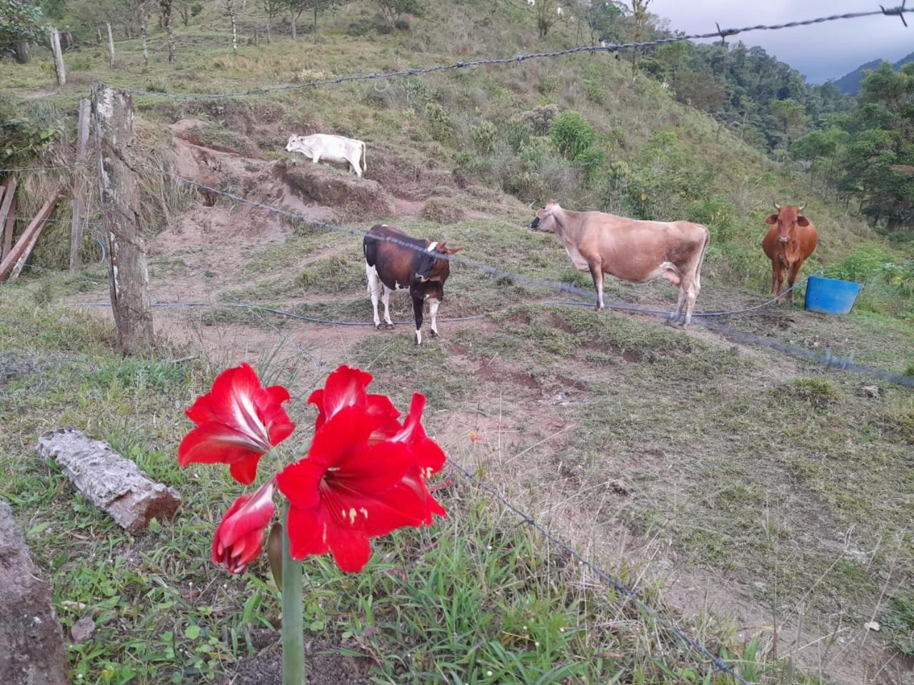 Finca Del Cielo
