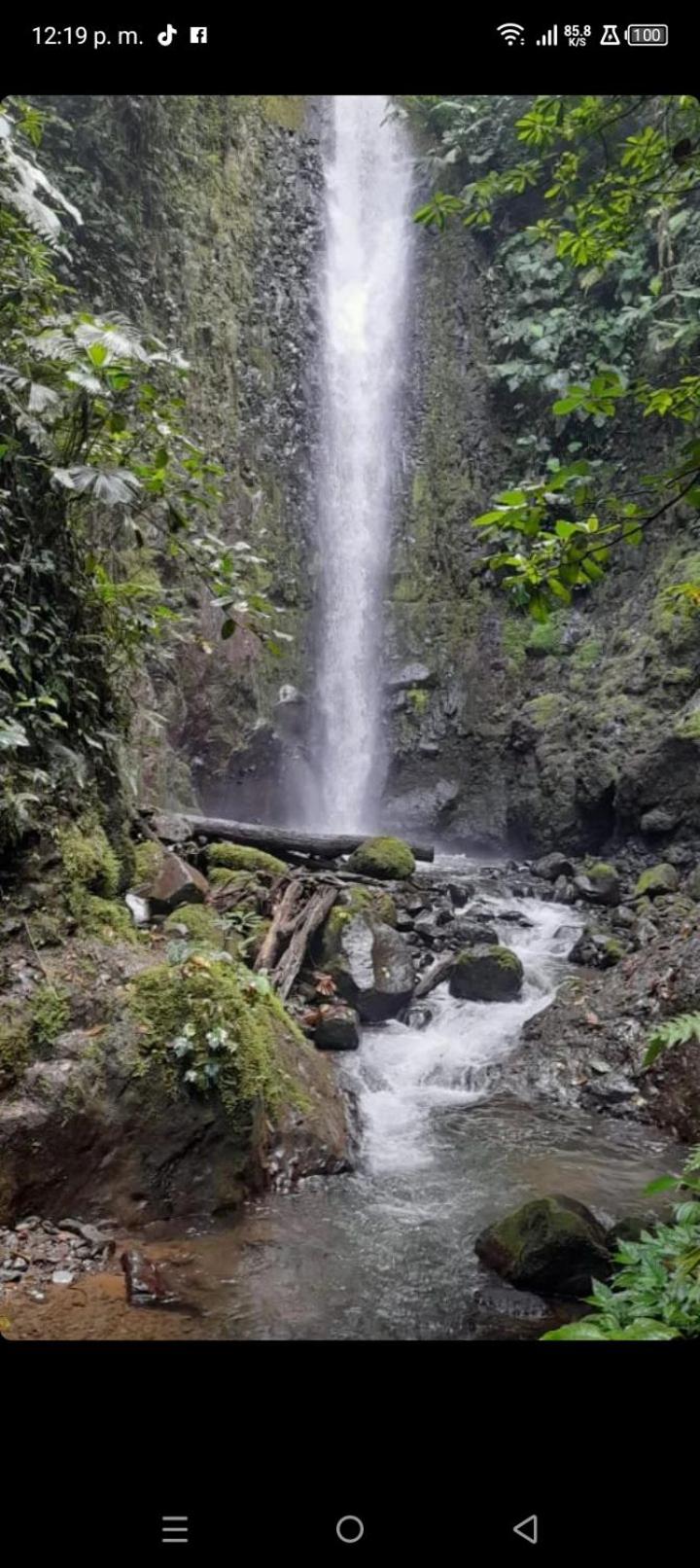 Finca Del Cielo