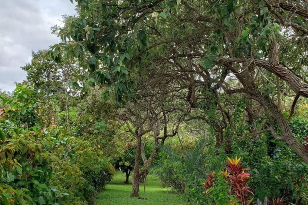 Casa do Bosque