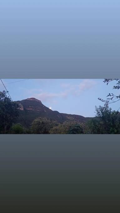 Casa do Bosque