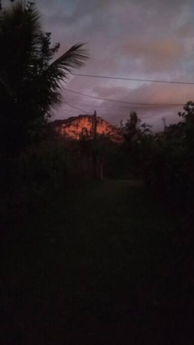 Casa do Bosque