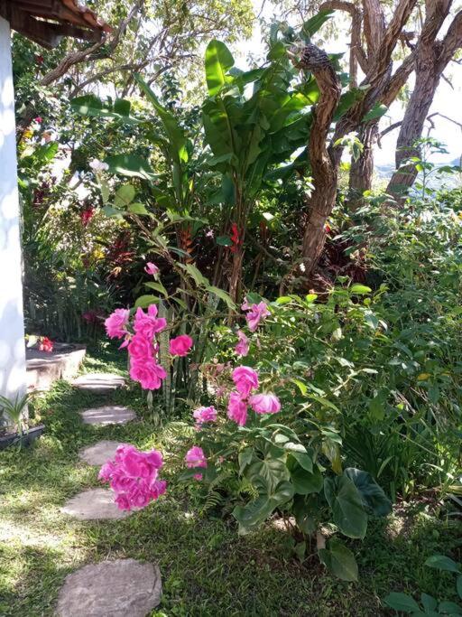 Casa do Bosque
