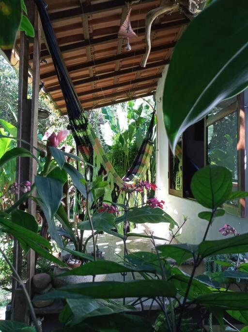 Casa do Bosque
