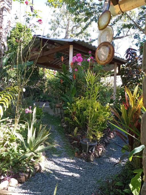 Casa do Bosque