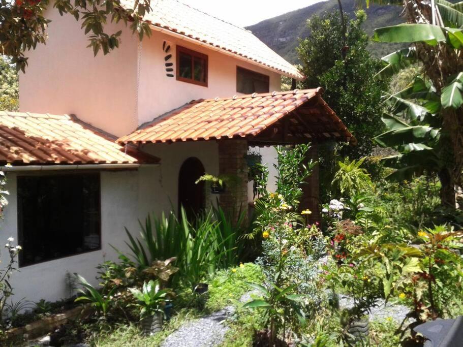 Casa do Bosque