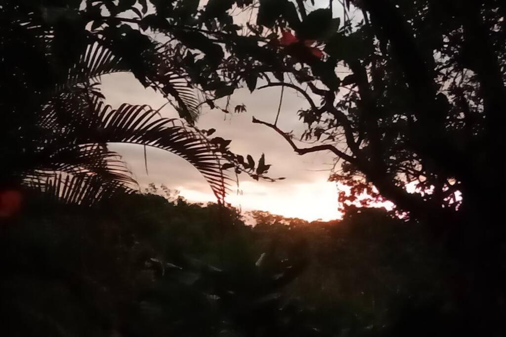 Casa do Bosque