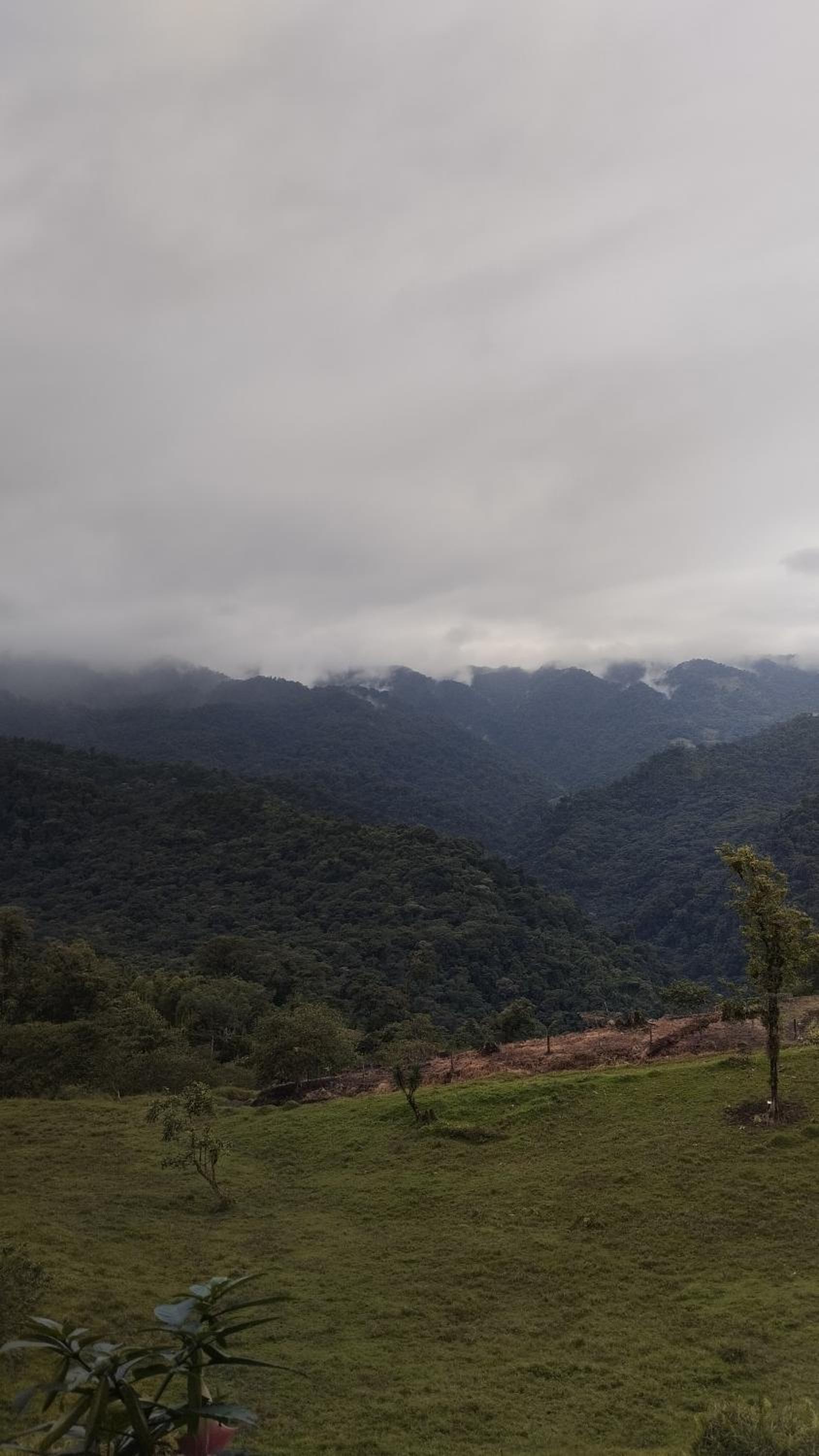 Finca Del Cielo