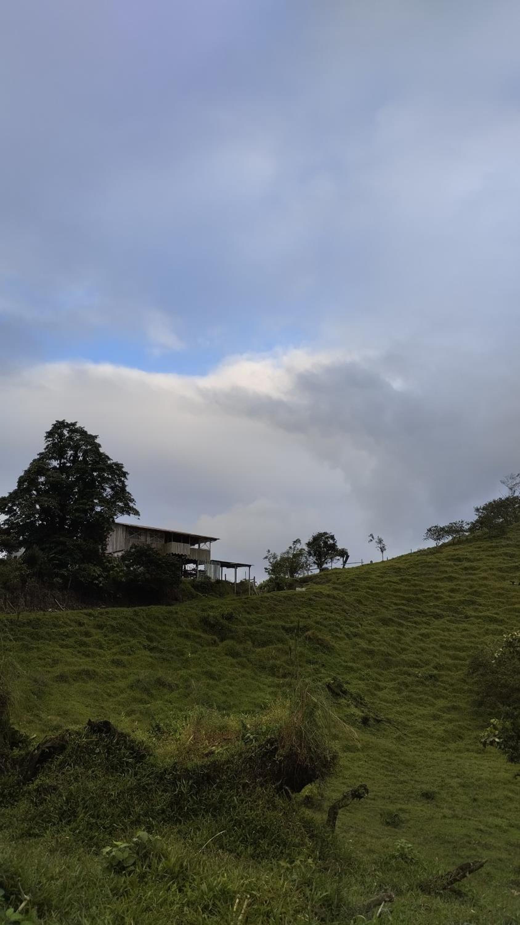 Finca Del Cielo