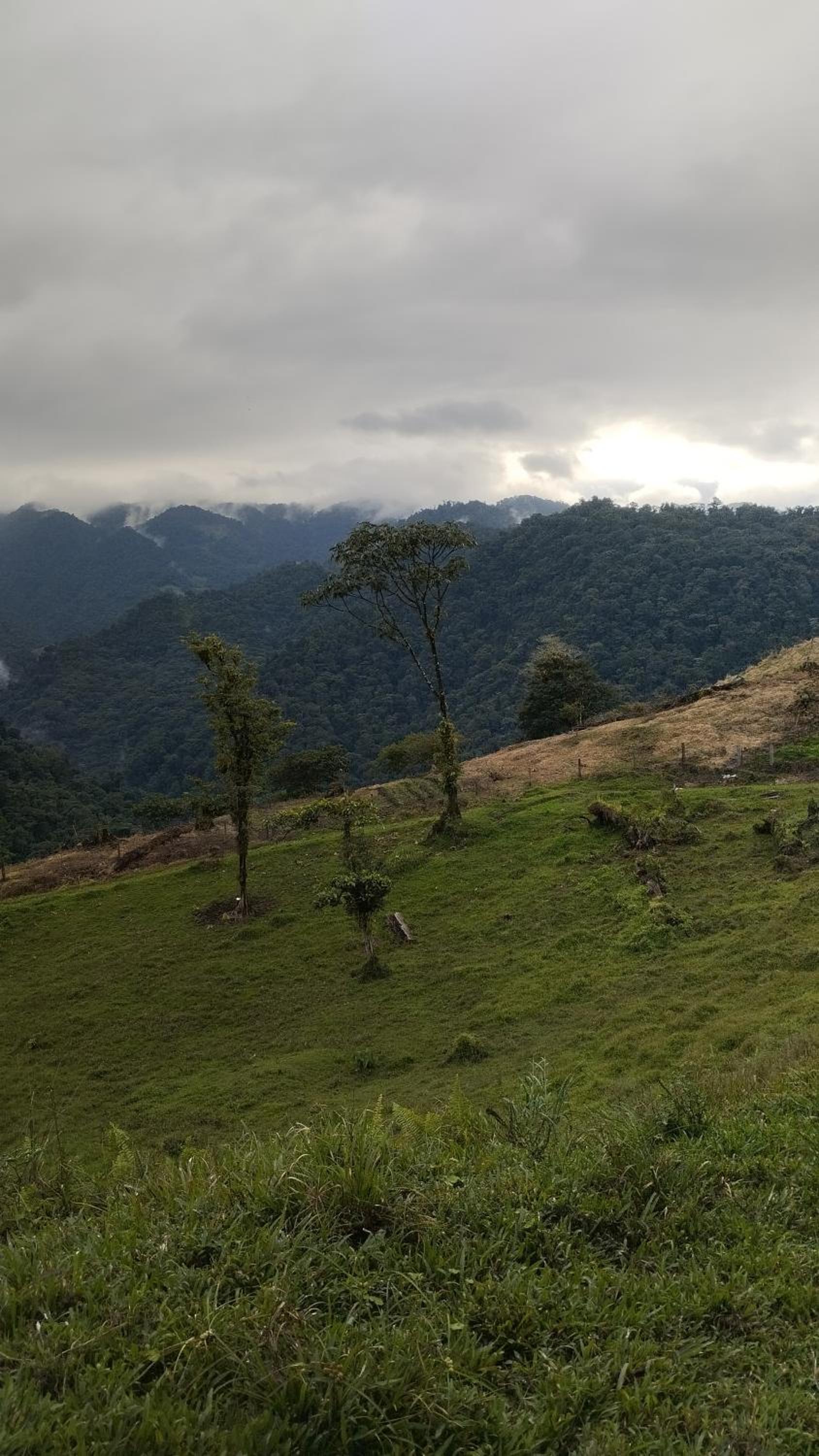 Finca Del Cielo