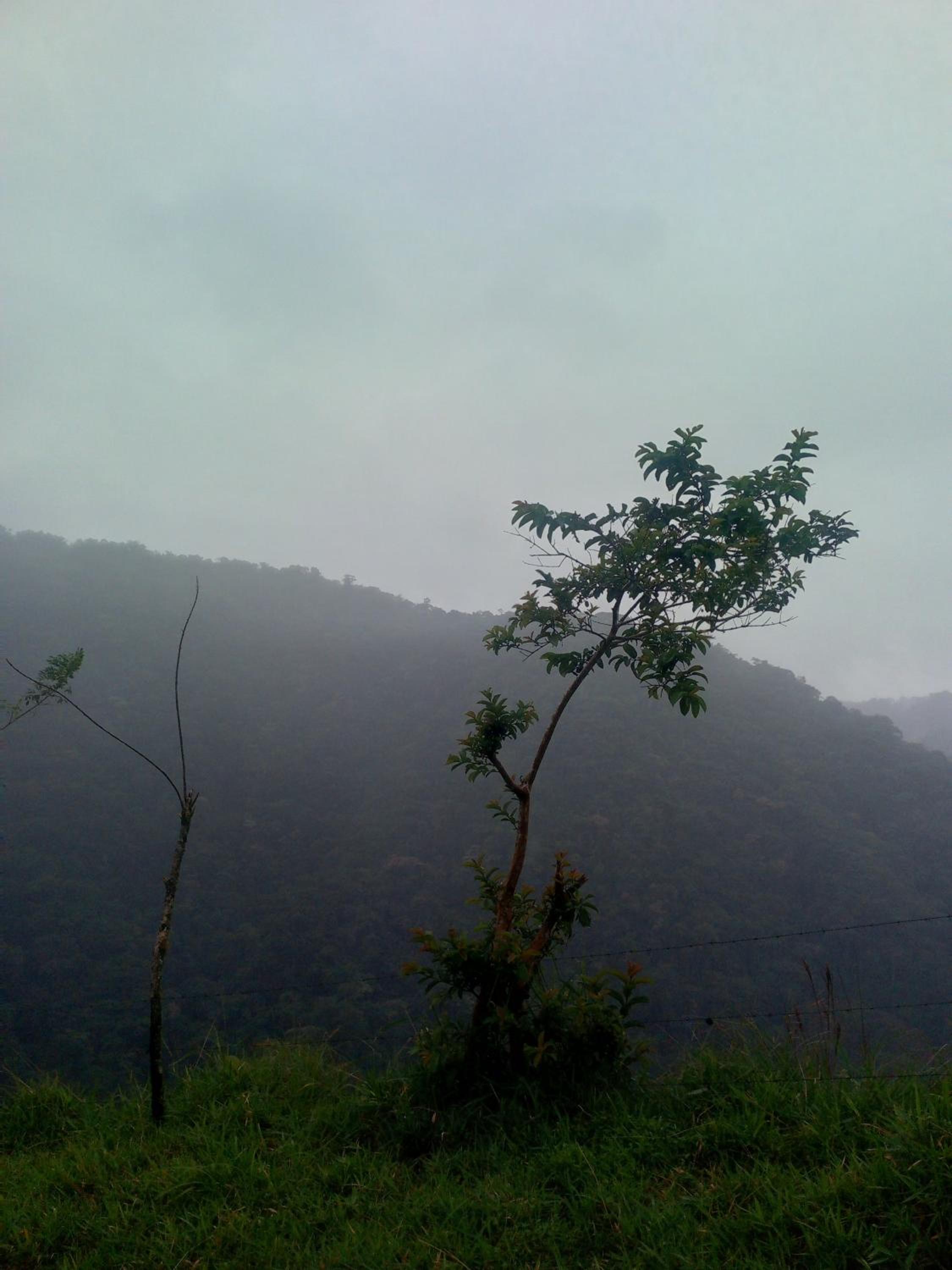 Finca Del Cielo
