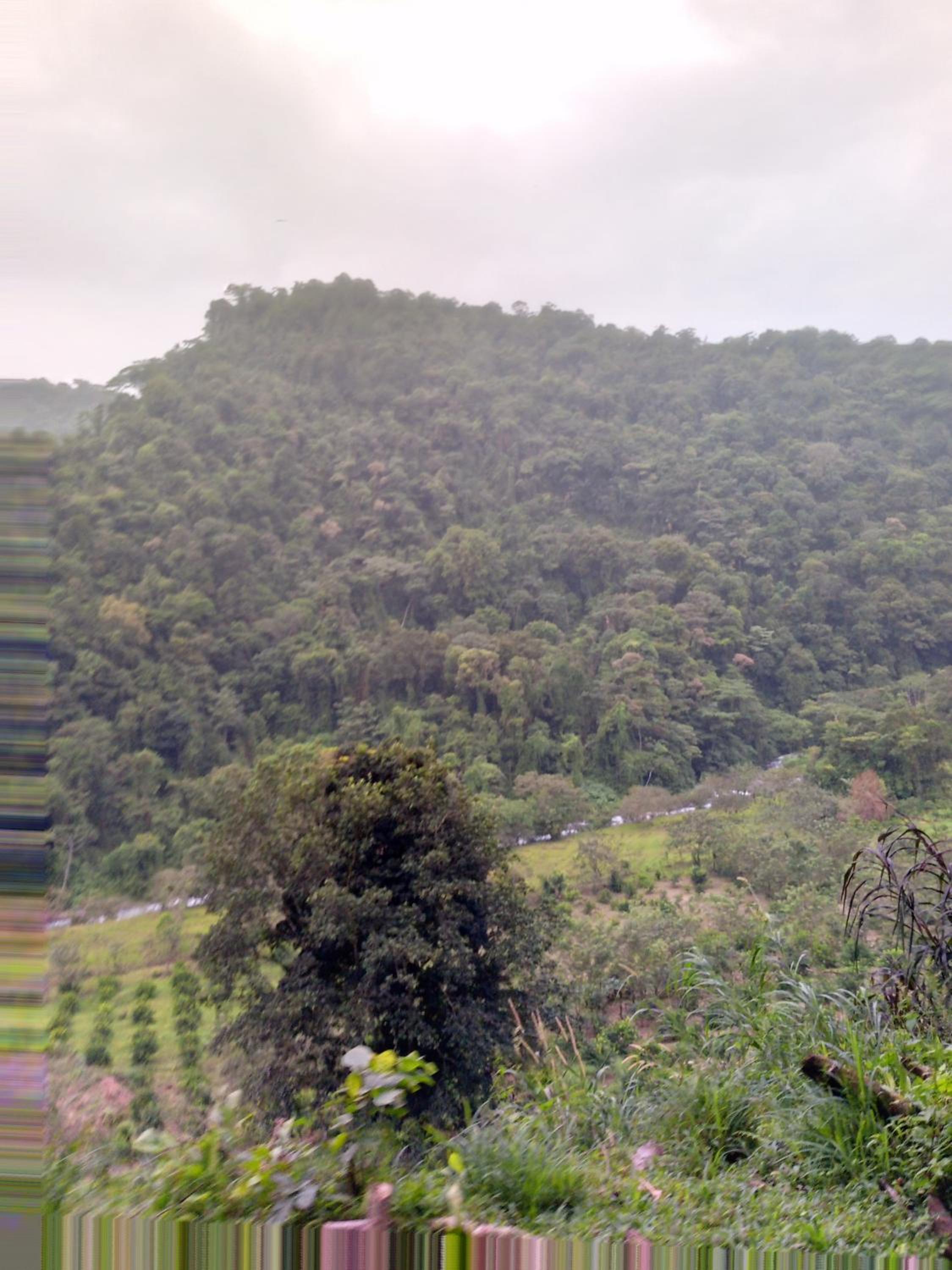 Finca Del Cielo