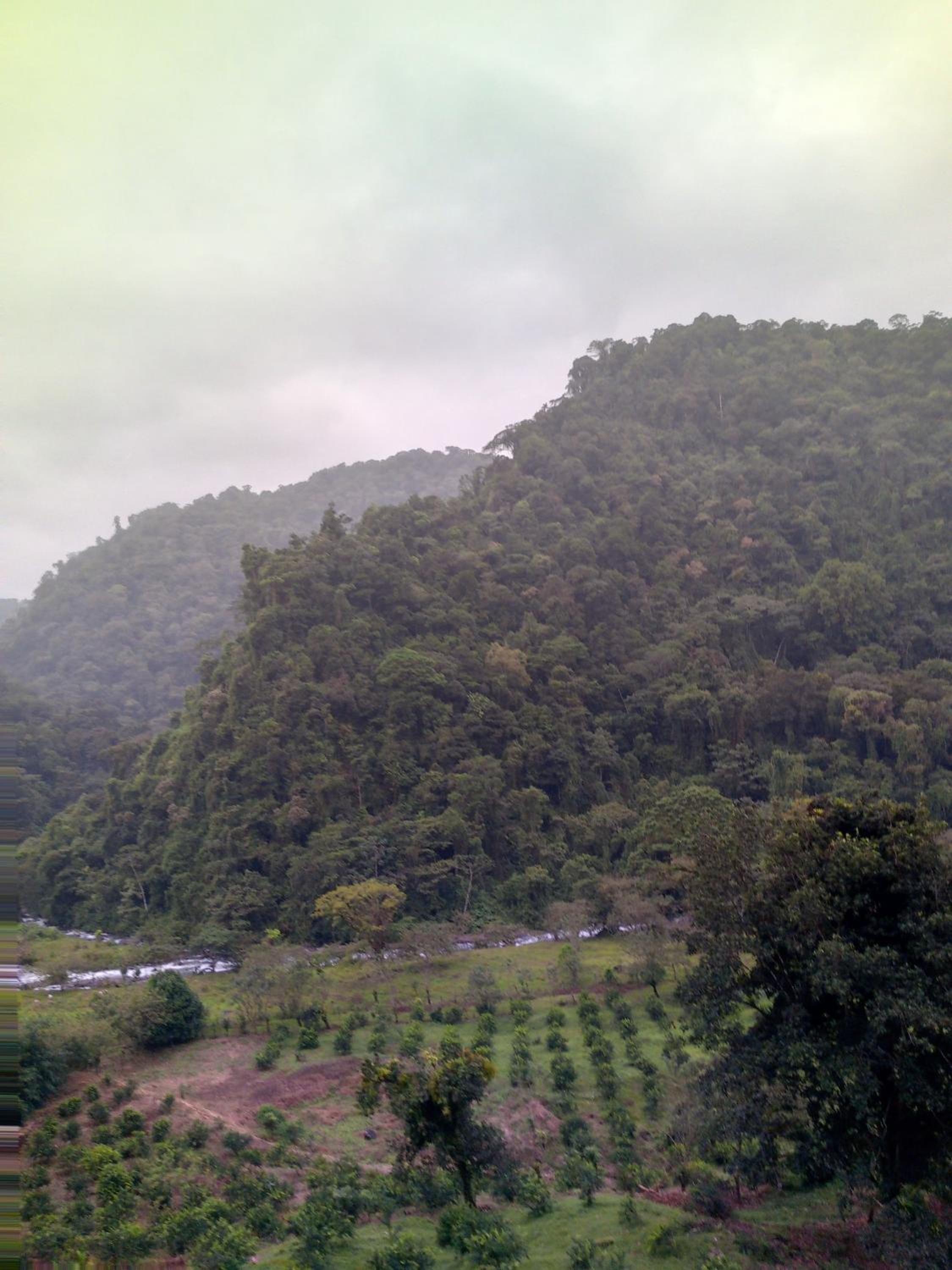 Finca Del Cielo