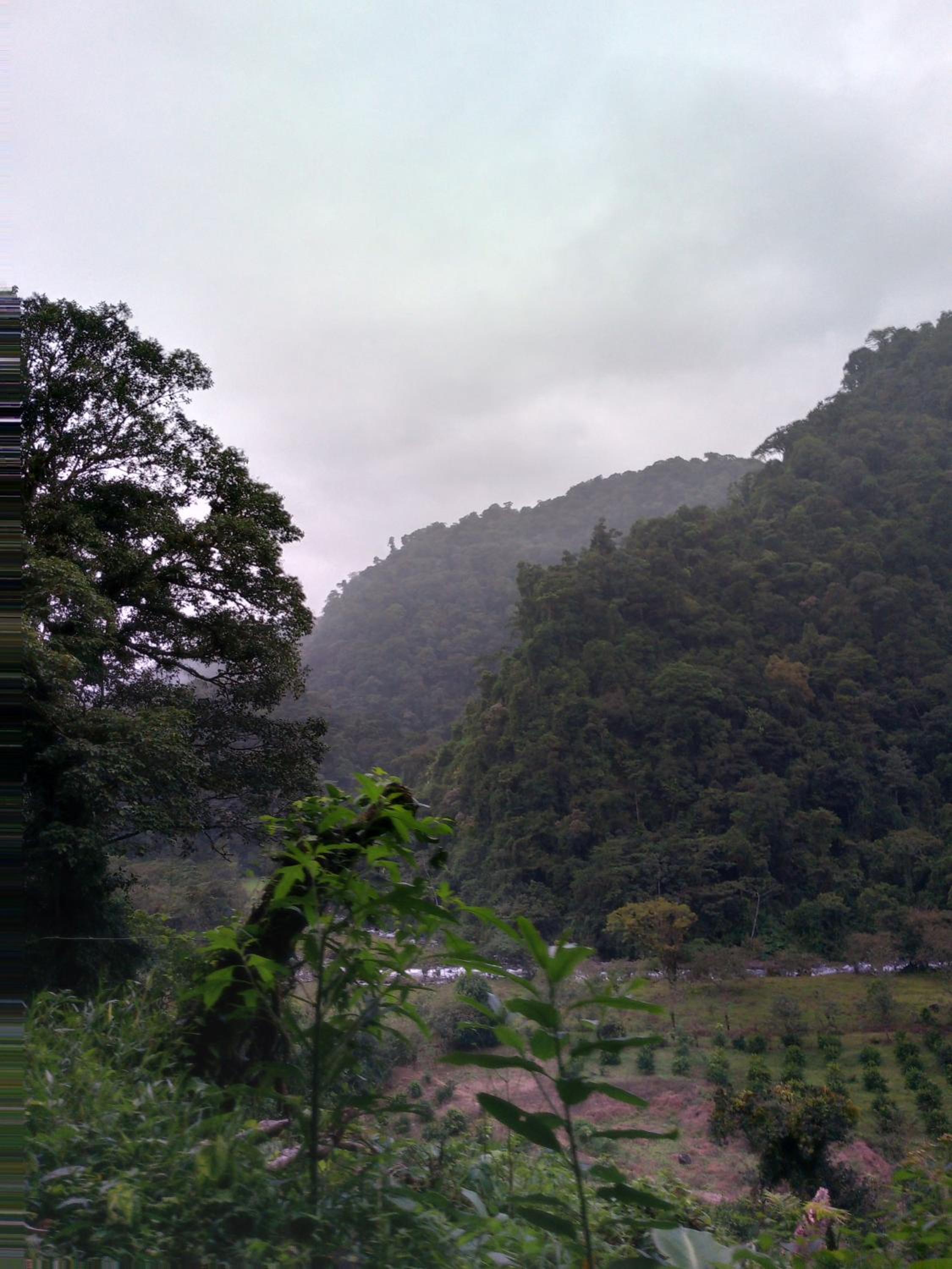 Finca Del Cielo