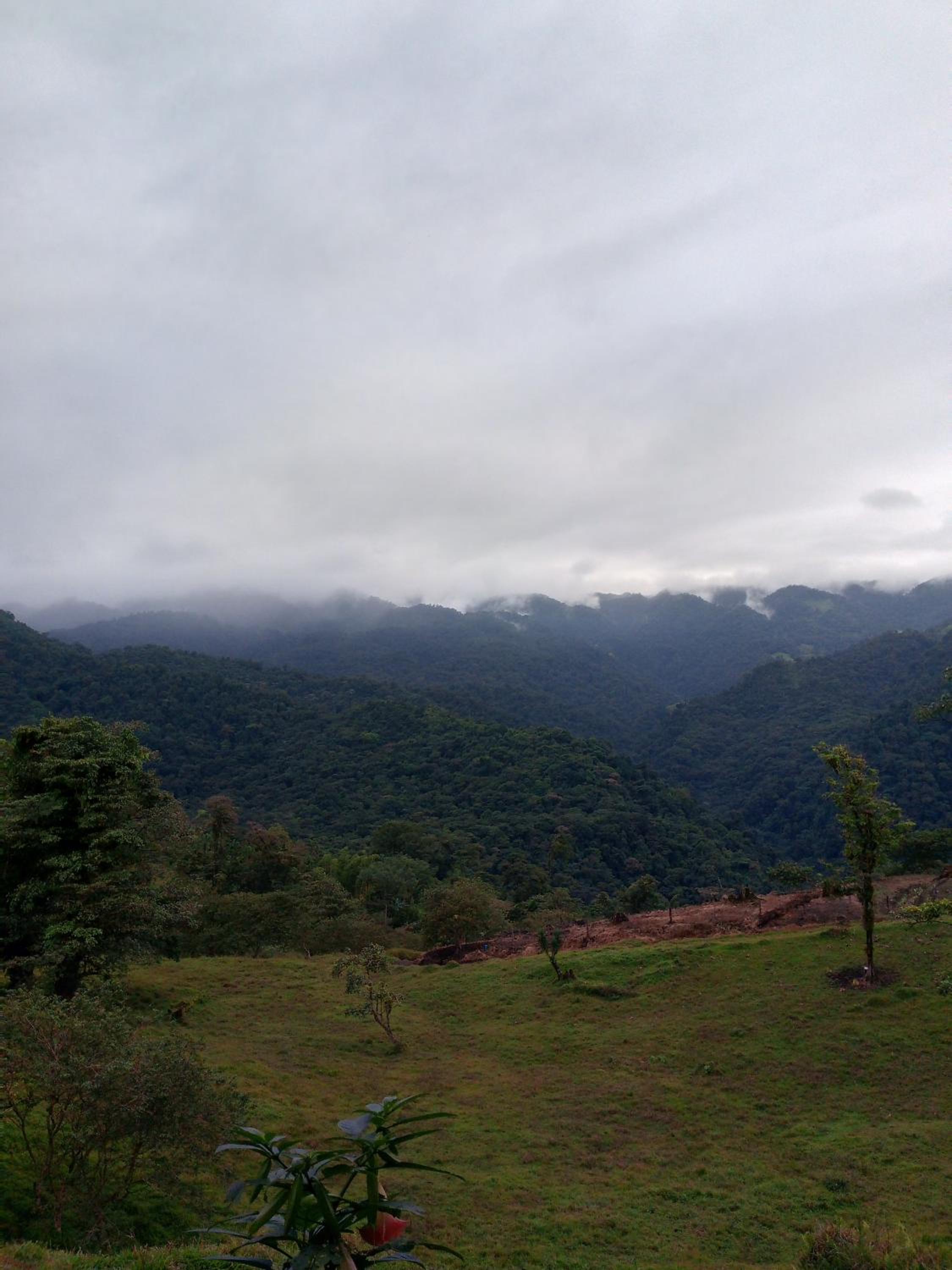 Finca Del Cielo