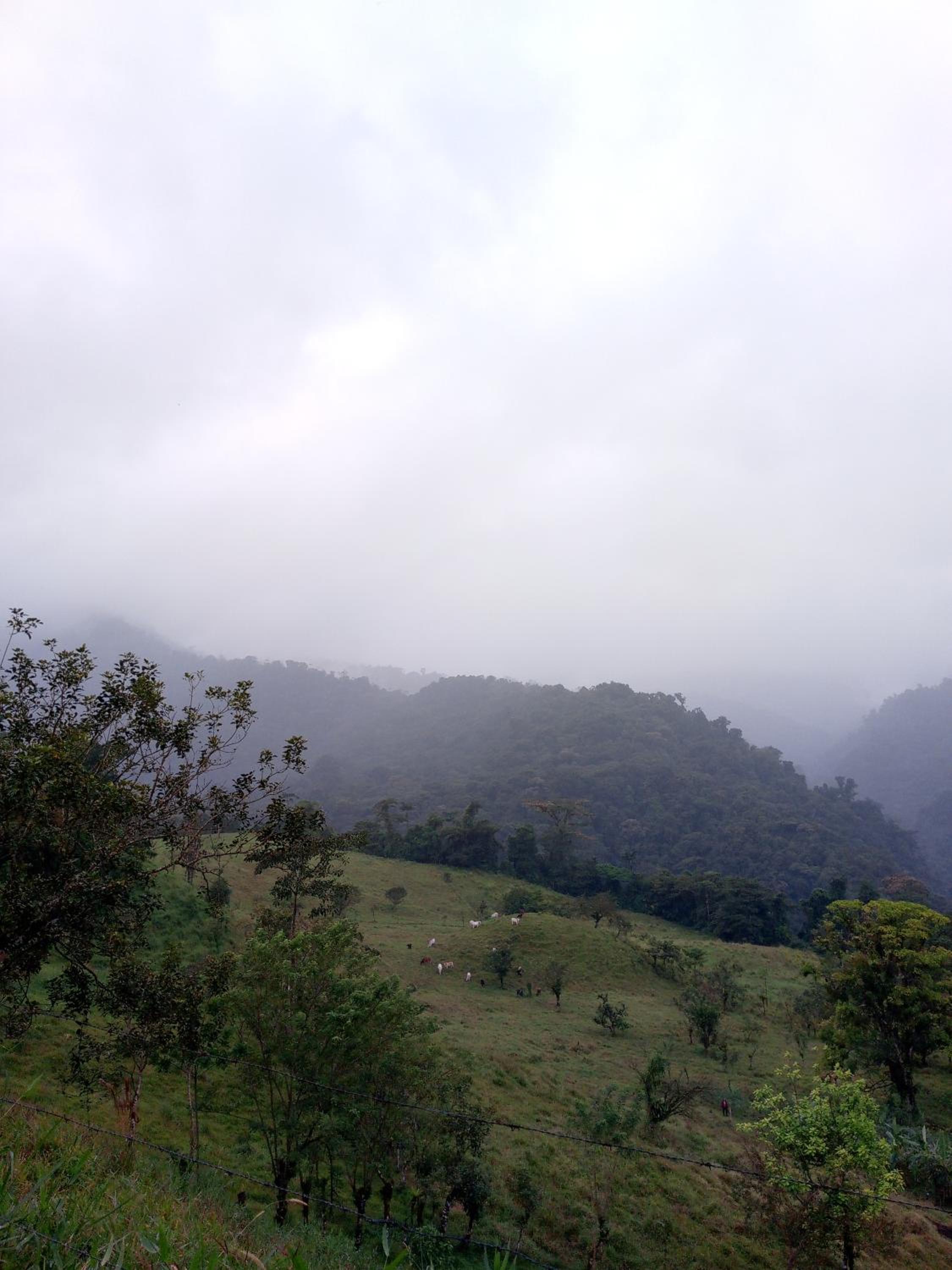 Finca Del Cielo