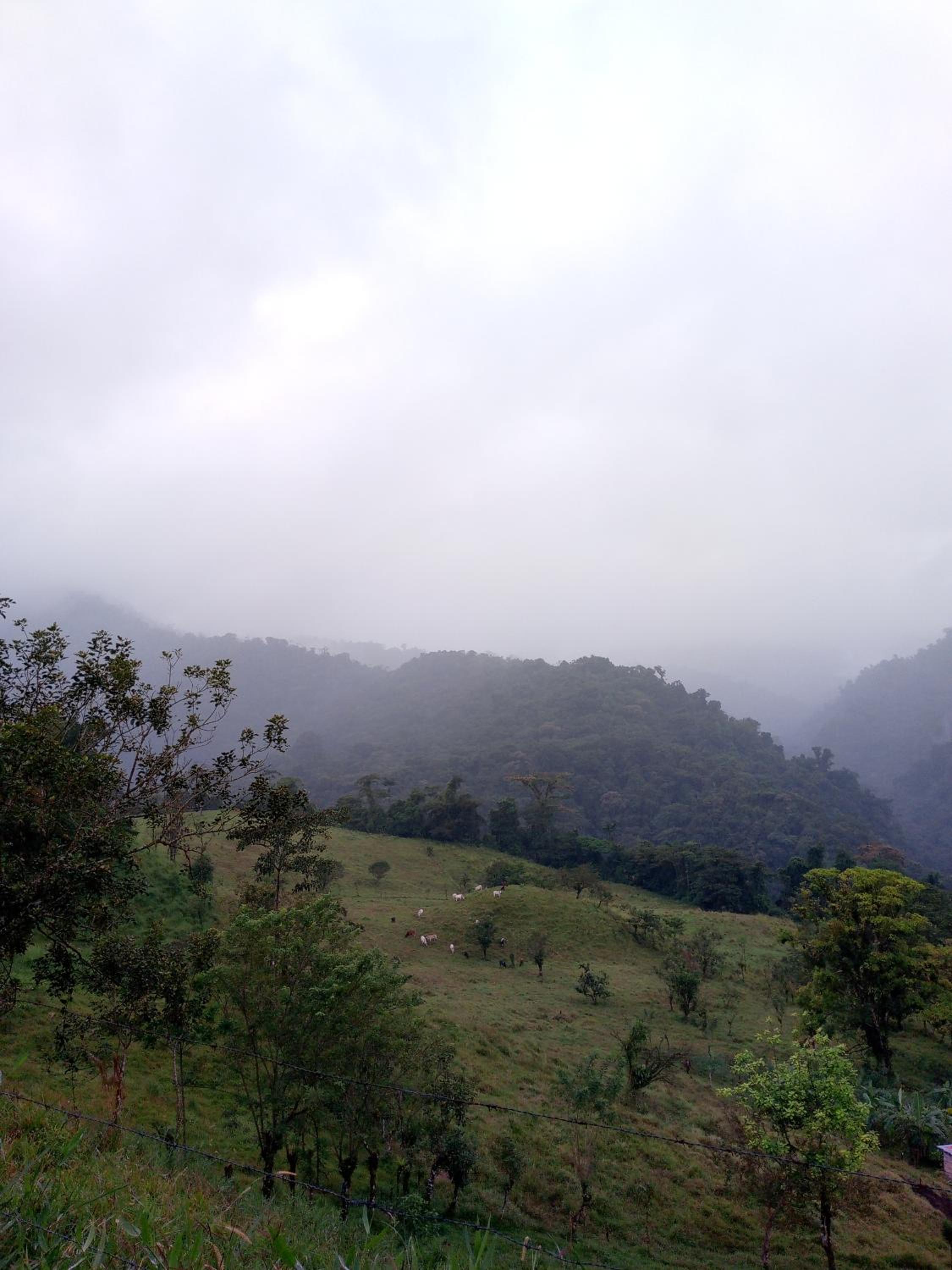 Finca Del Cielo