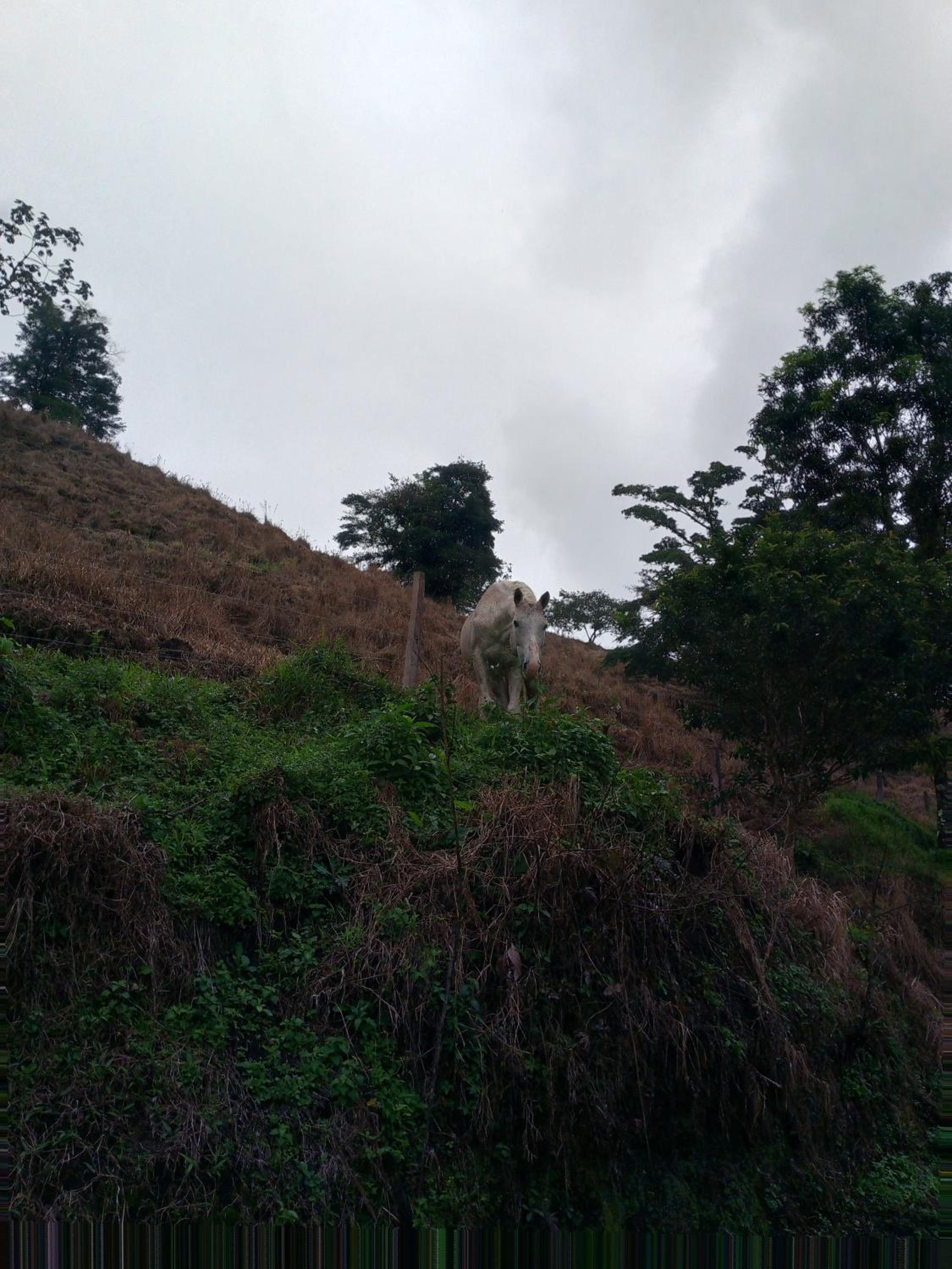 Finca Del Cielo