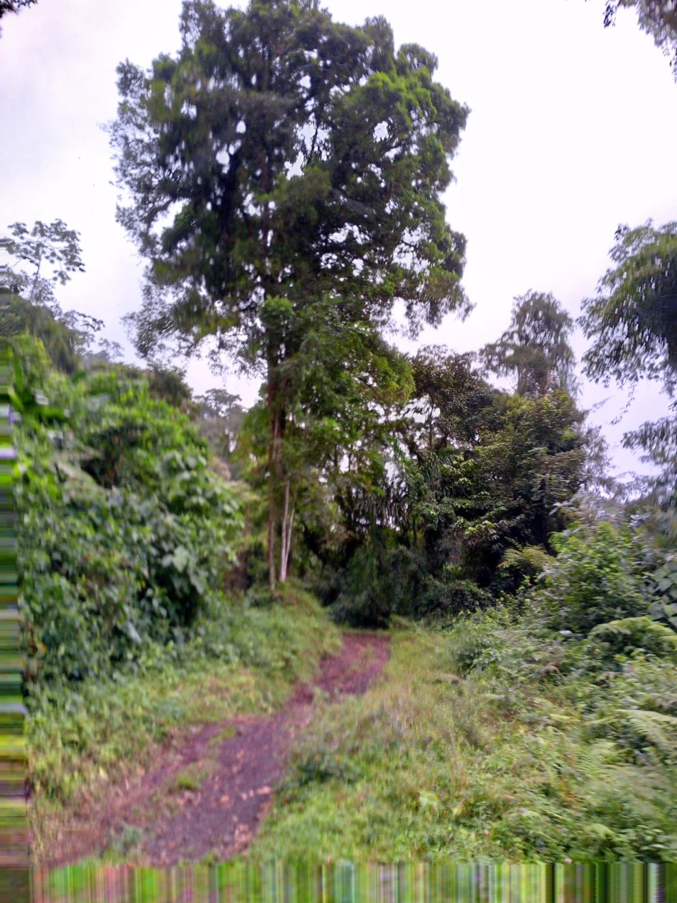 Finca Del Cielo