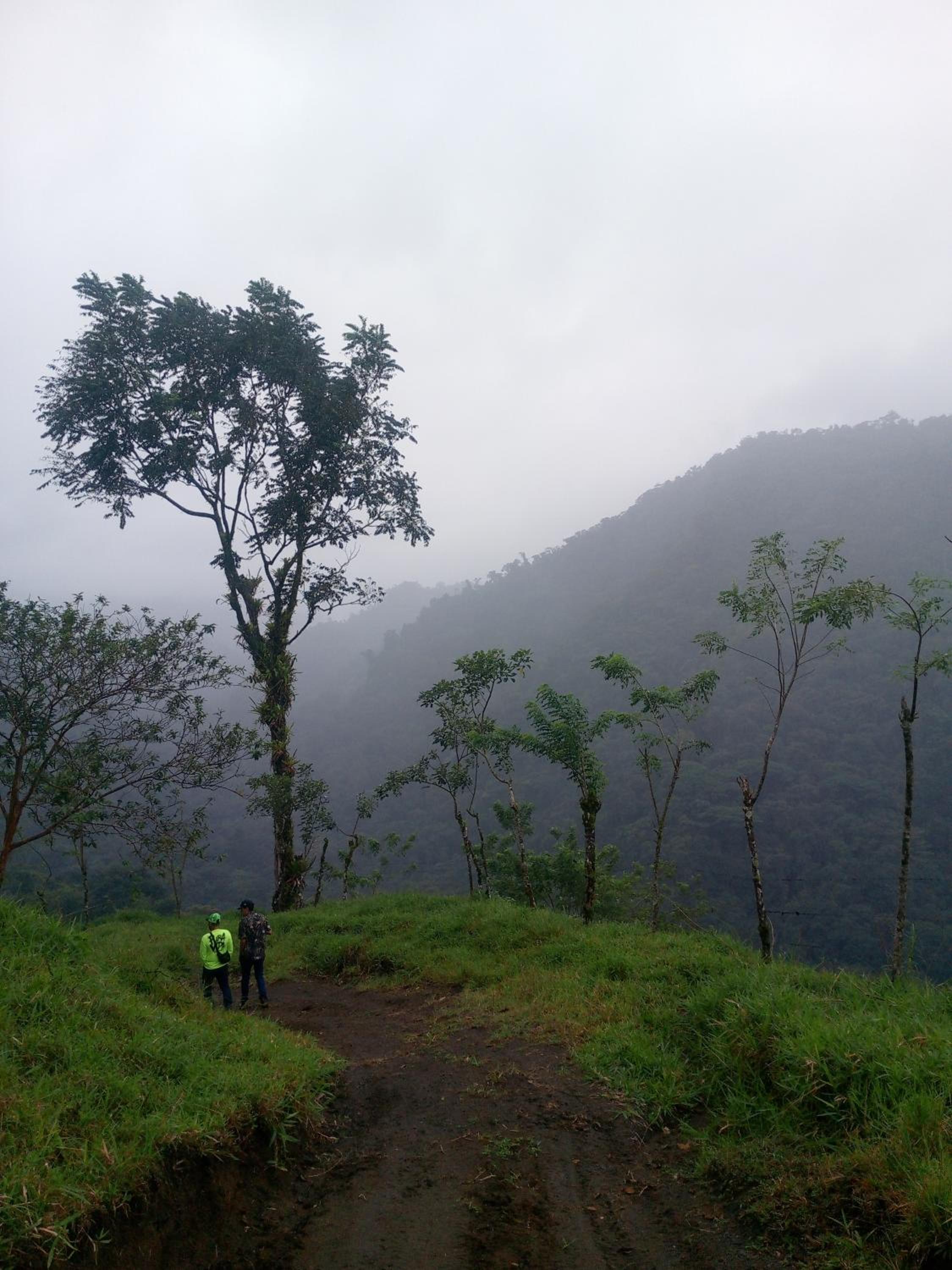 Finca Del Cielo