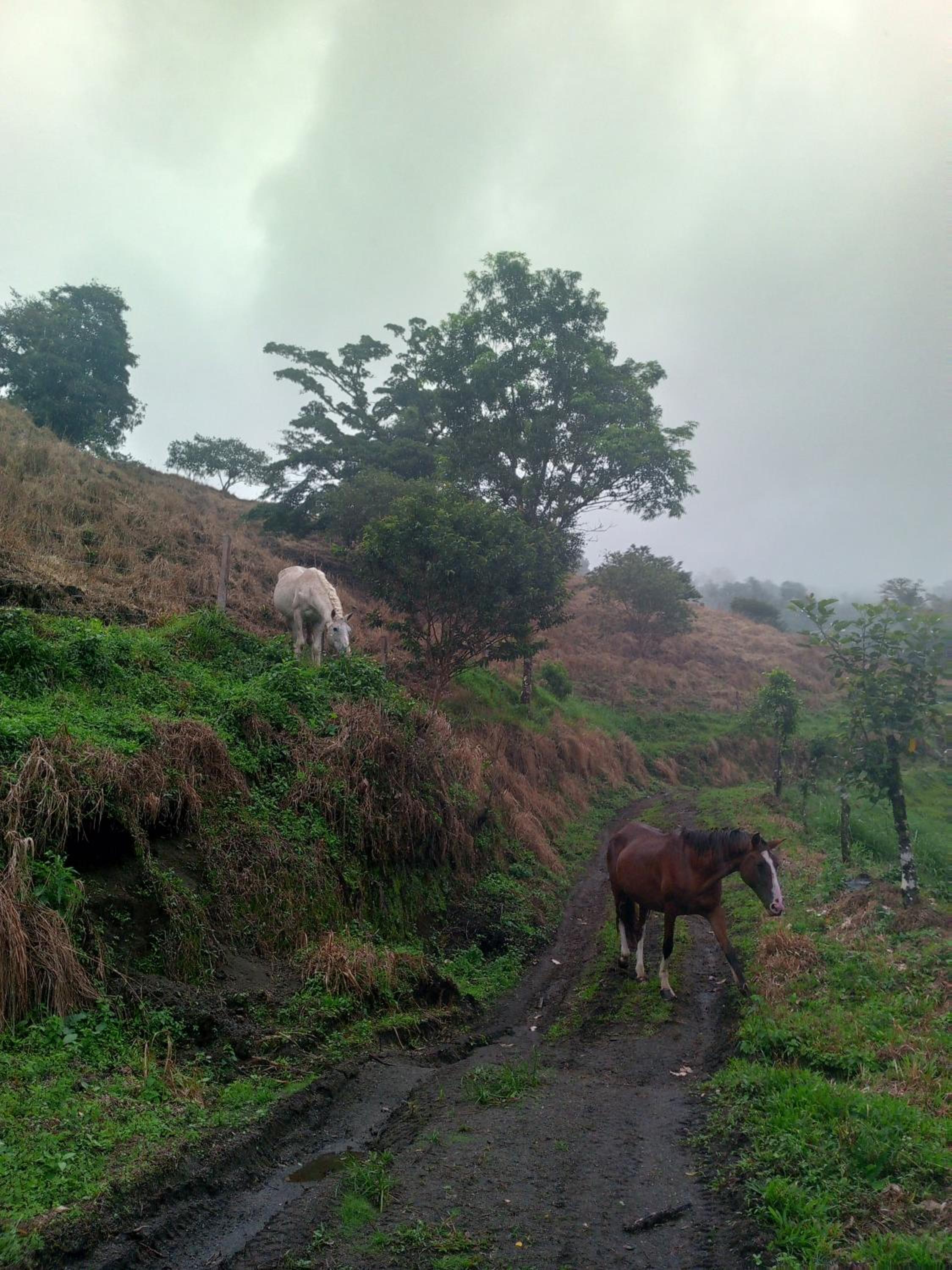 Finca Del Cielo