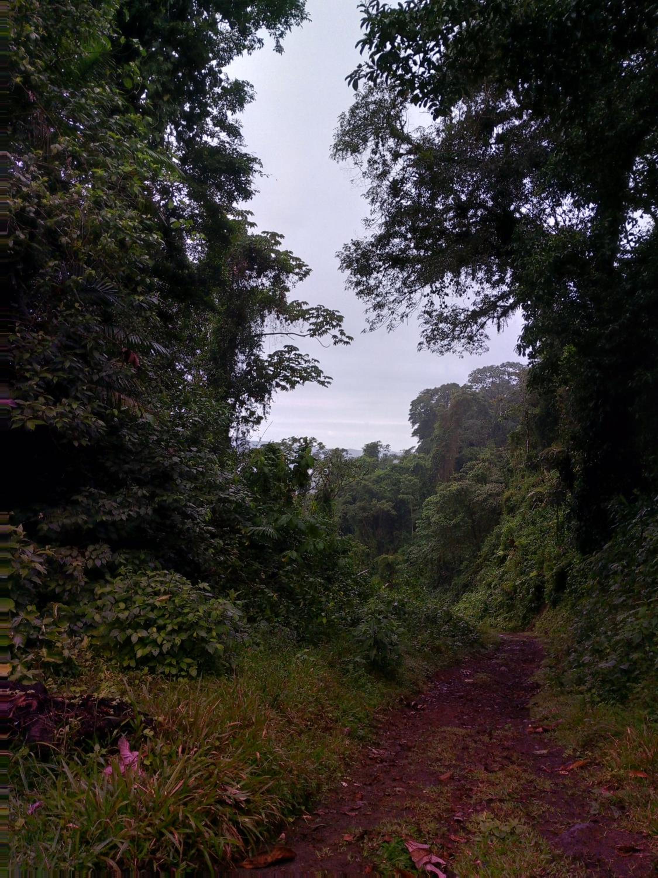 Finca Del Cielo