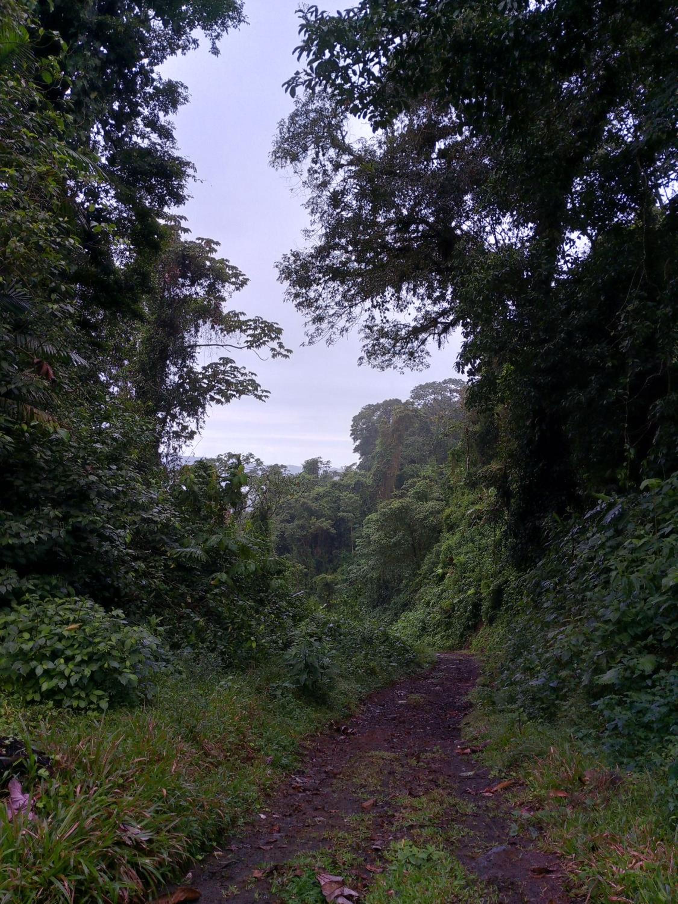 Finca Del Cielo