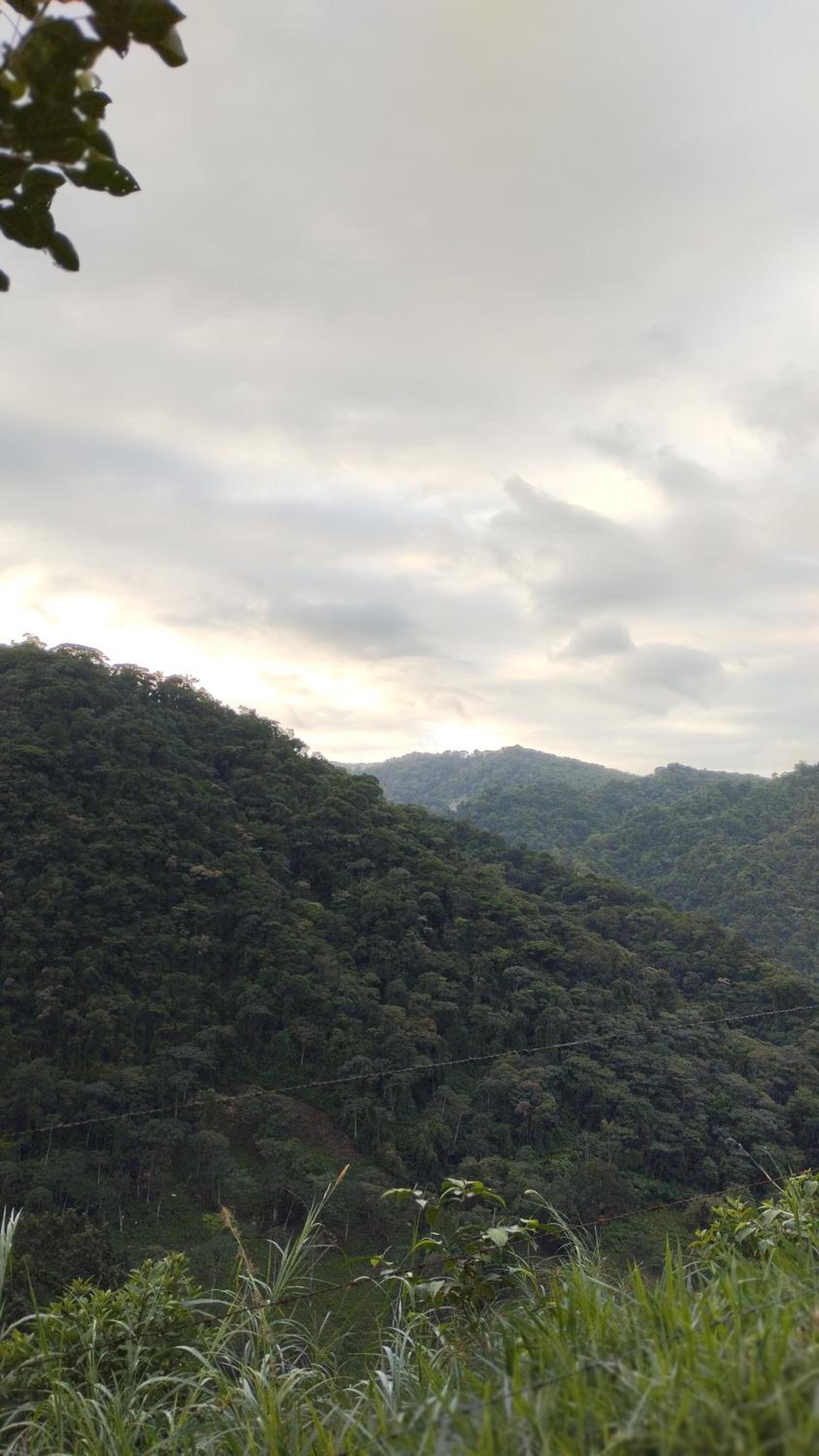 Finca Del Cielo