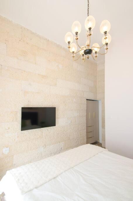 Luxury Apartment