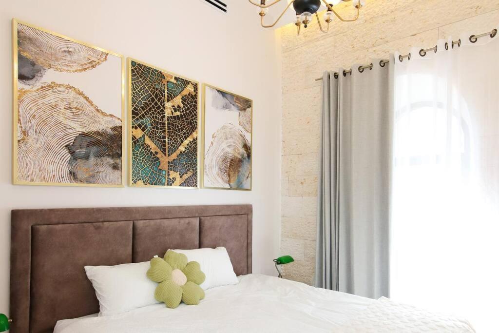 Luxury Apartment