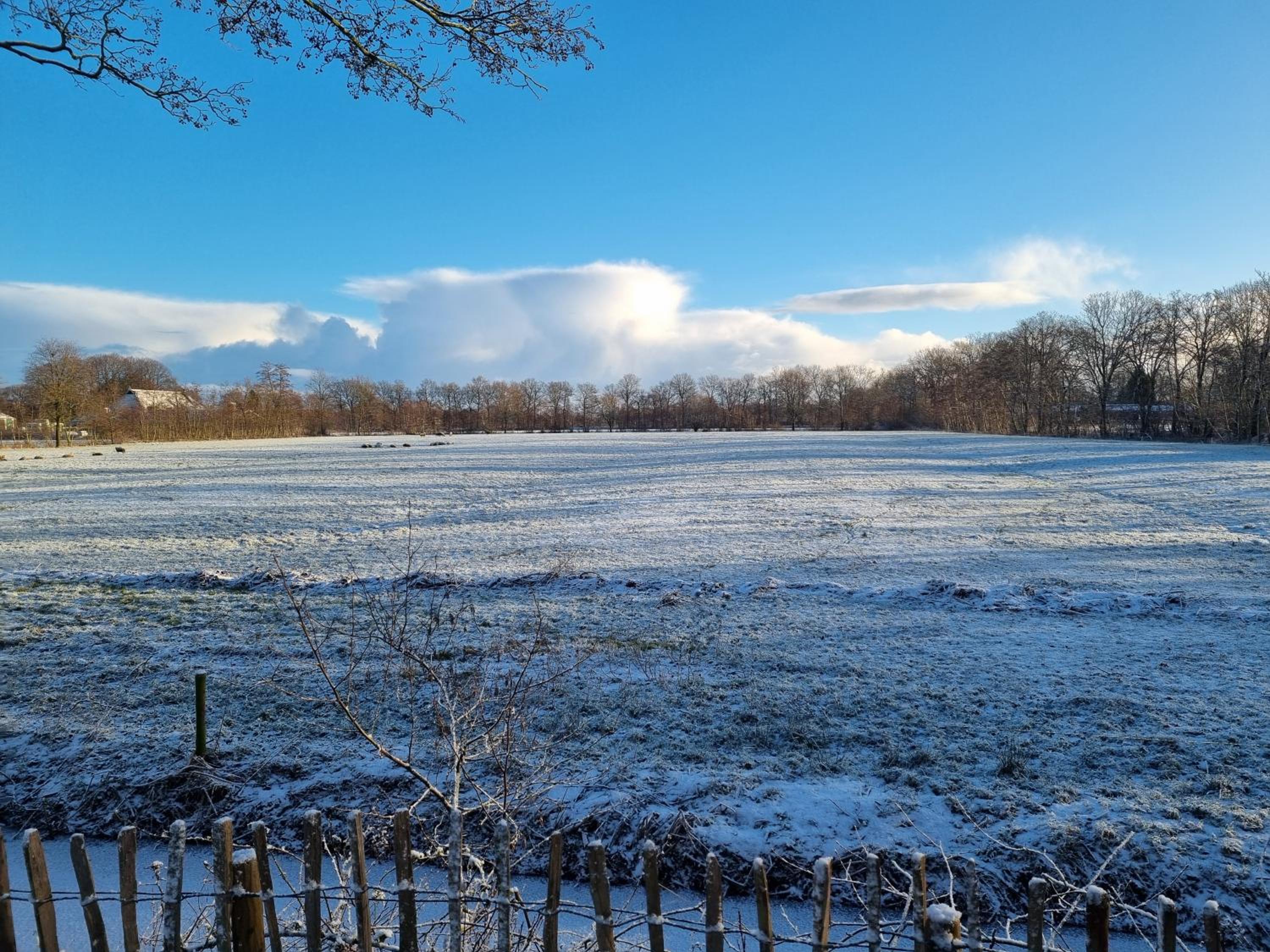 B&B in de Roos view 2