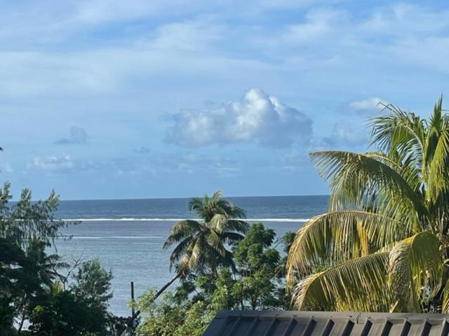 The Crow's Nest Resort Fiji - view 8