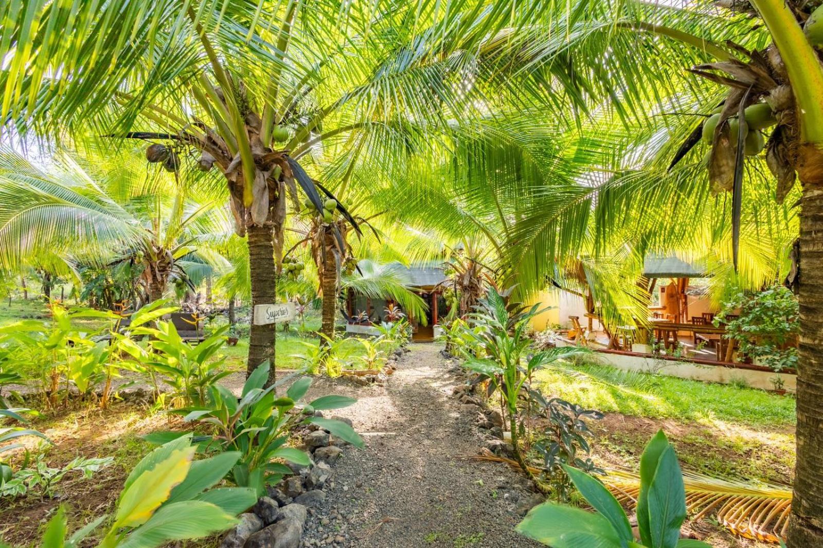 Eco-Lodge Deseo Bamboo