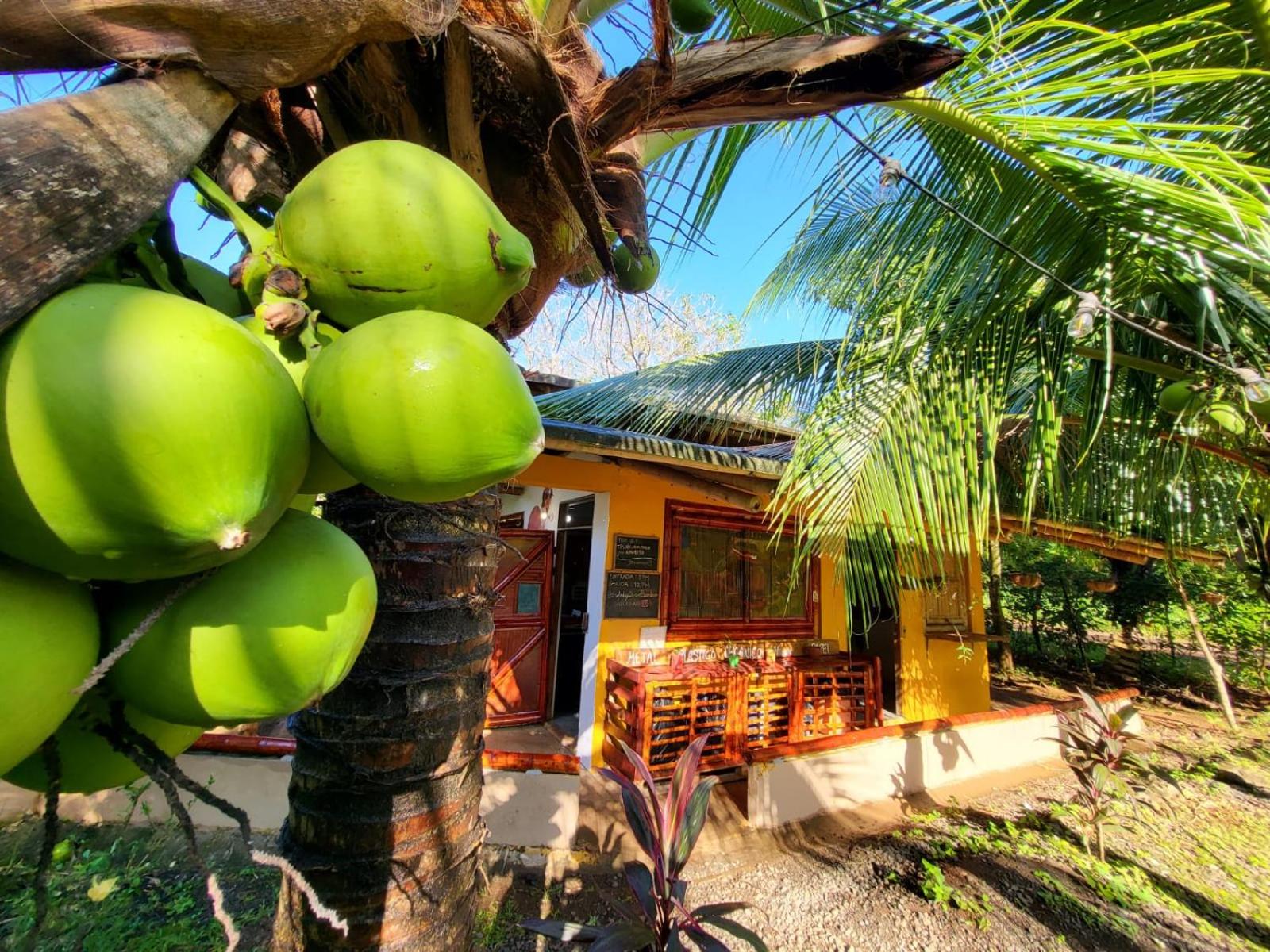 Eco-Lodge Deseo Bamboo