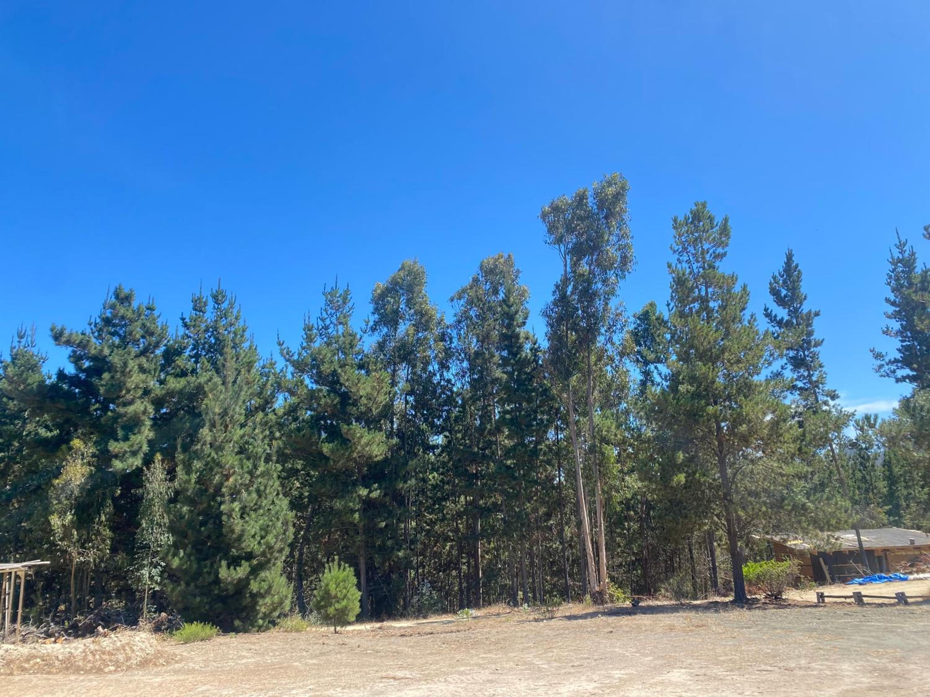 Cabaña Matanzas tinaja privada vista al bosque