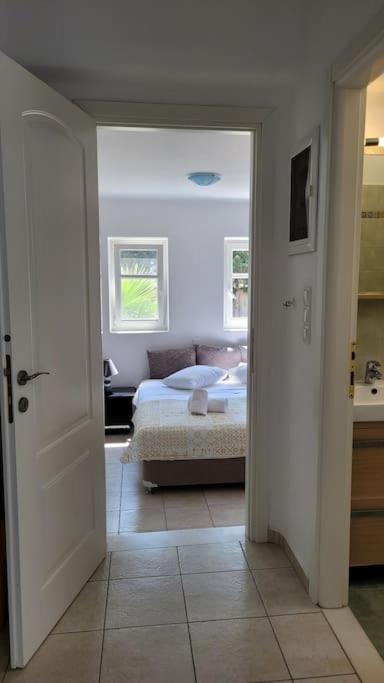 Photo 42