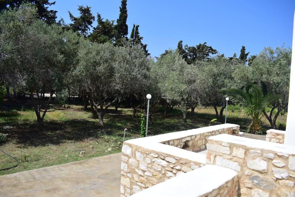 Photo 28