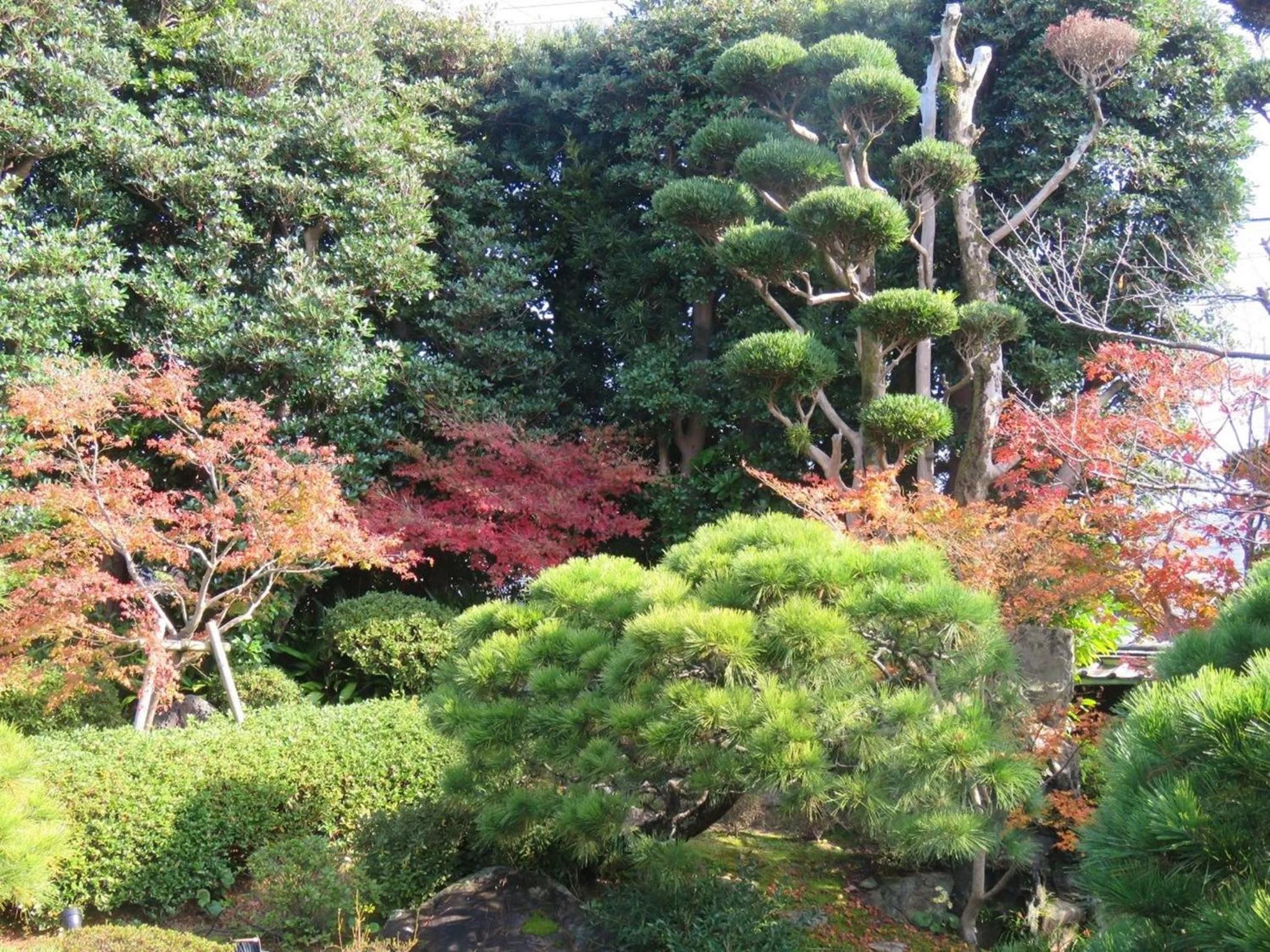 Photo 17