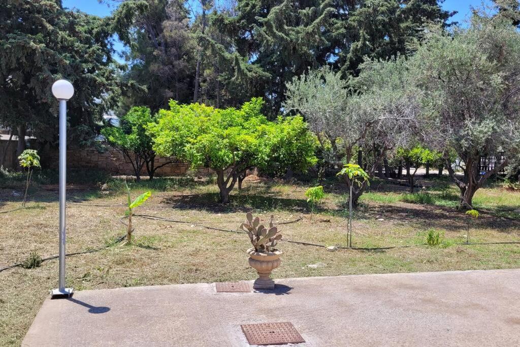 Villa Kaniaris photo 4