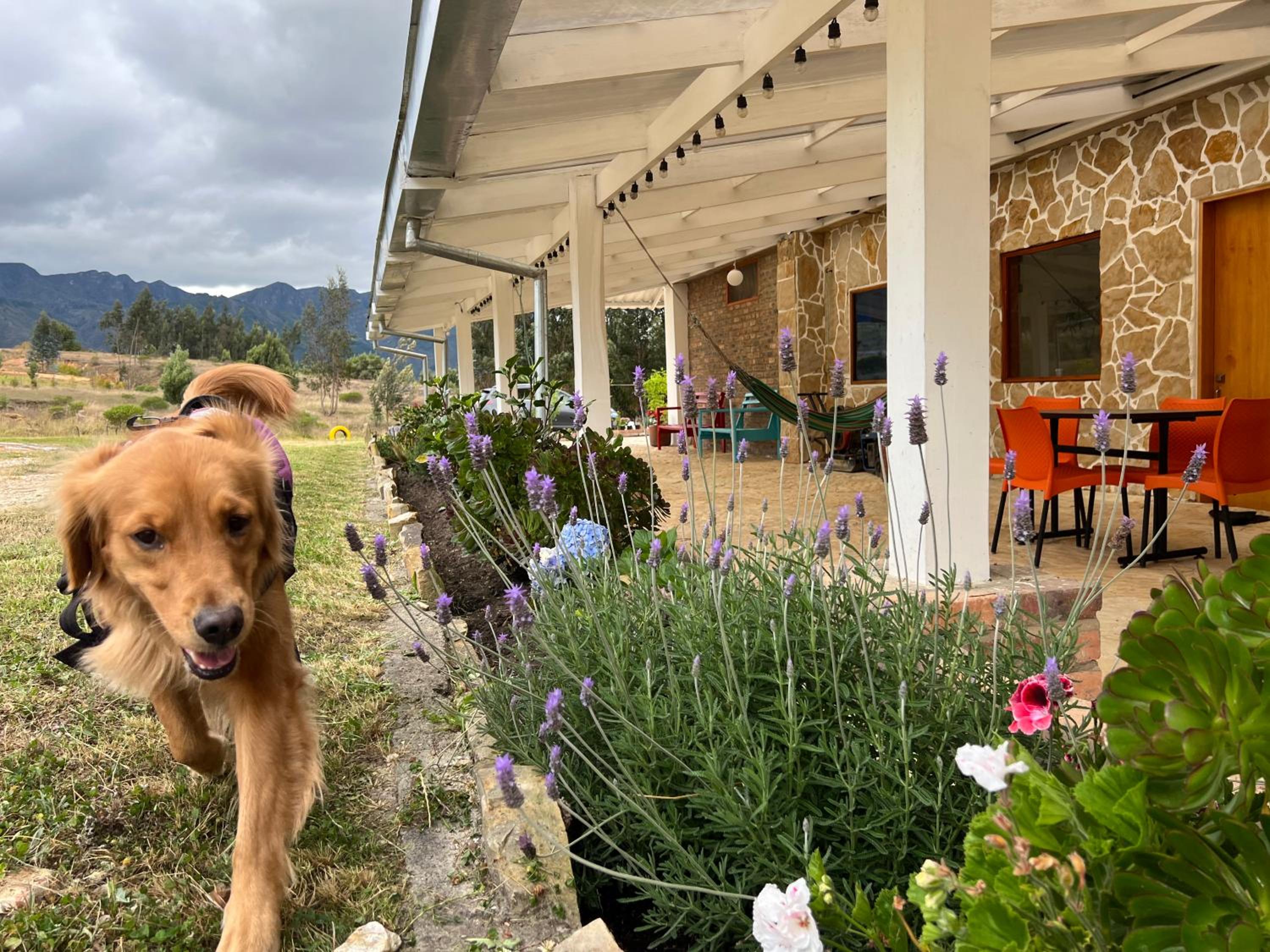 Coclí Glamping Suesca