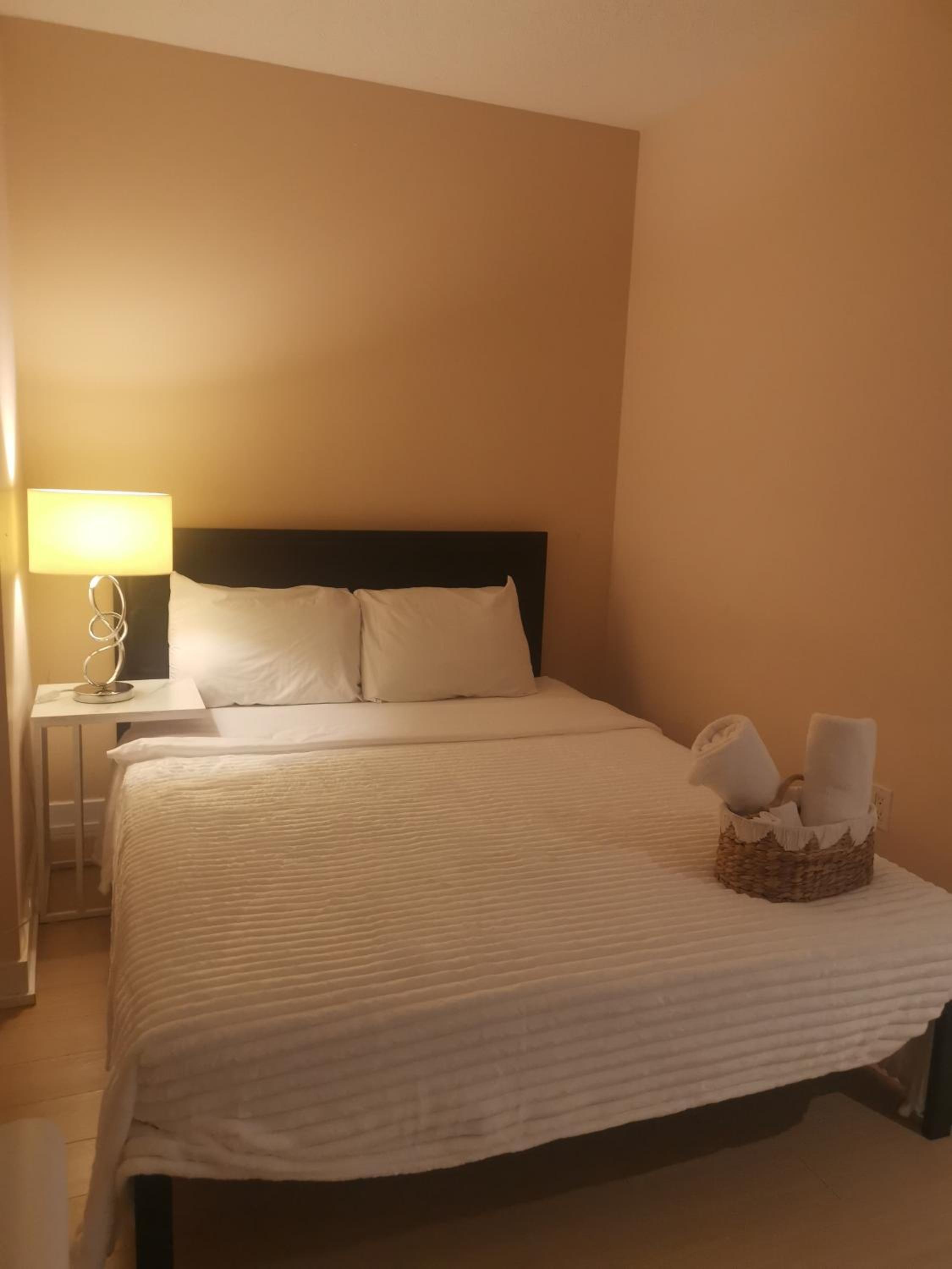 Downtown Toronto Condo Suite