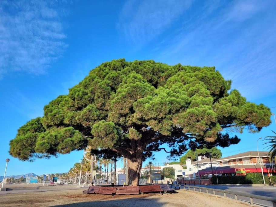 Cambrils Dulces Sueños