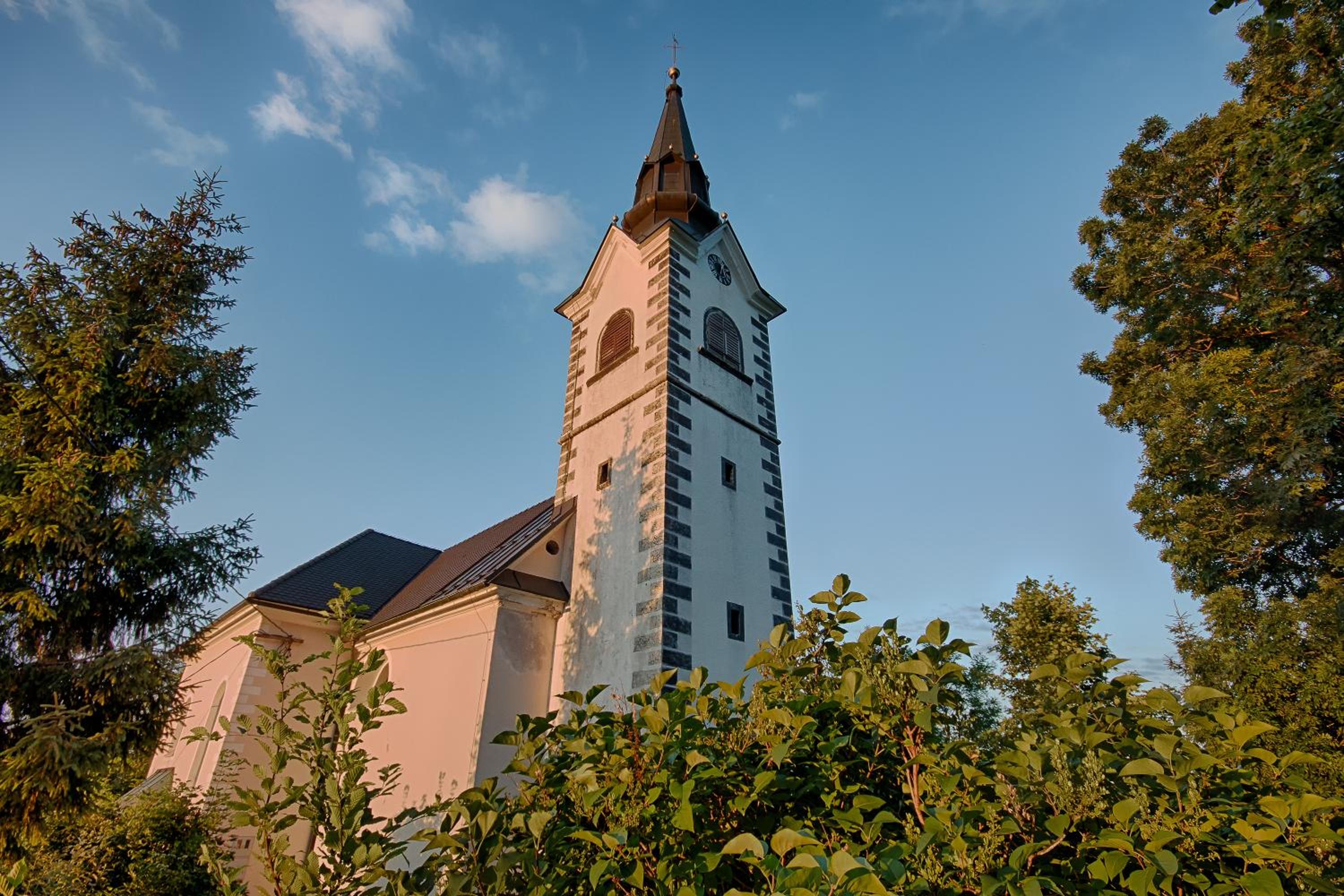 Photo 41