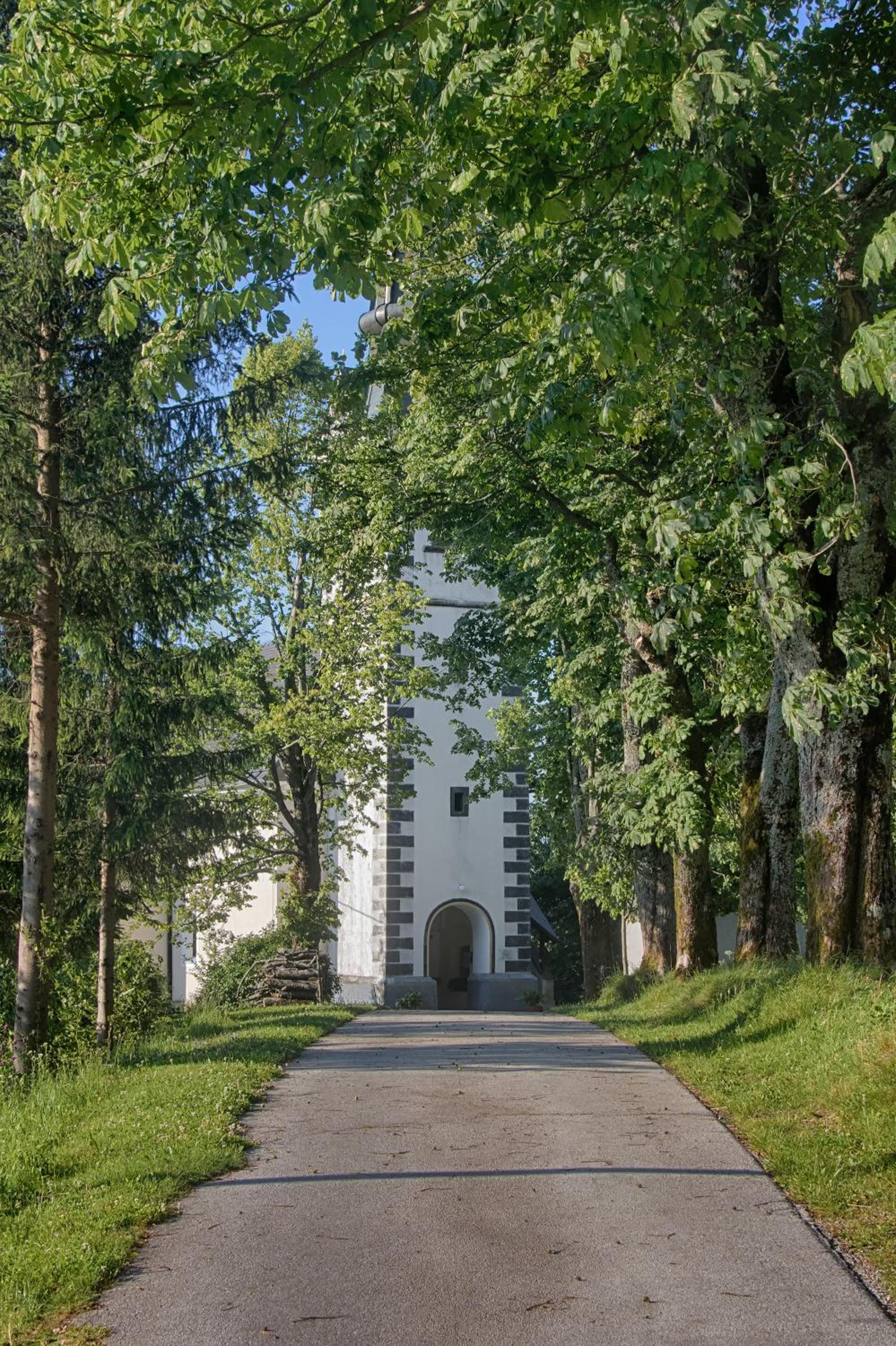 Photo 49