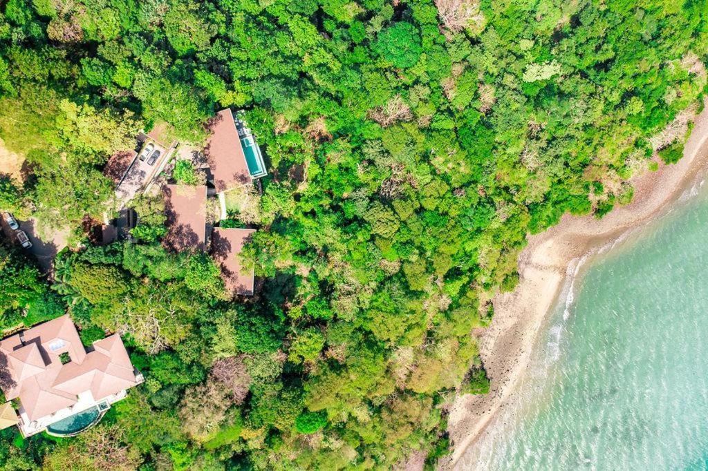 Villa Cinco Monos