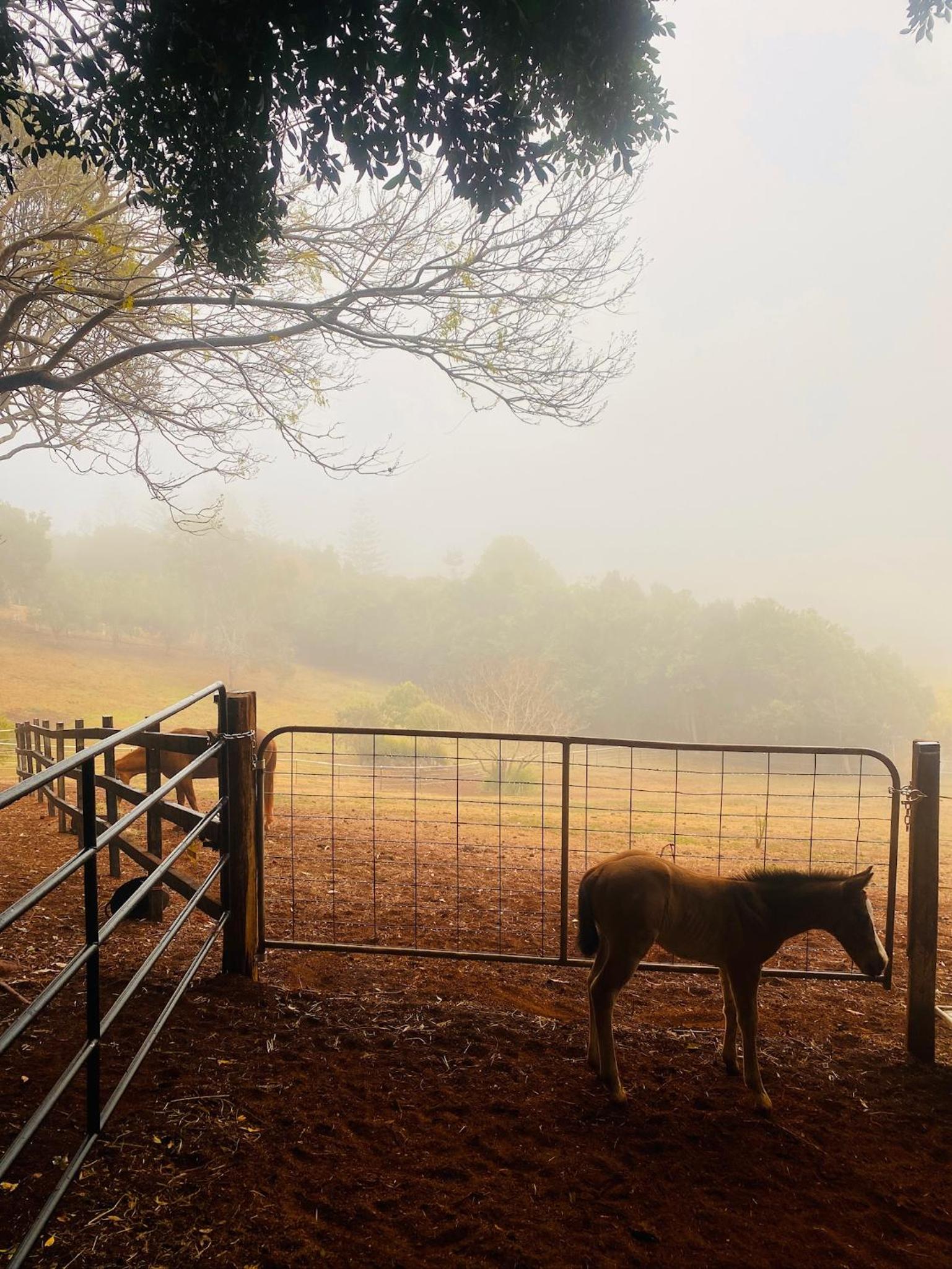Doomben Ridge Farm House