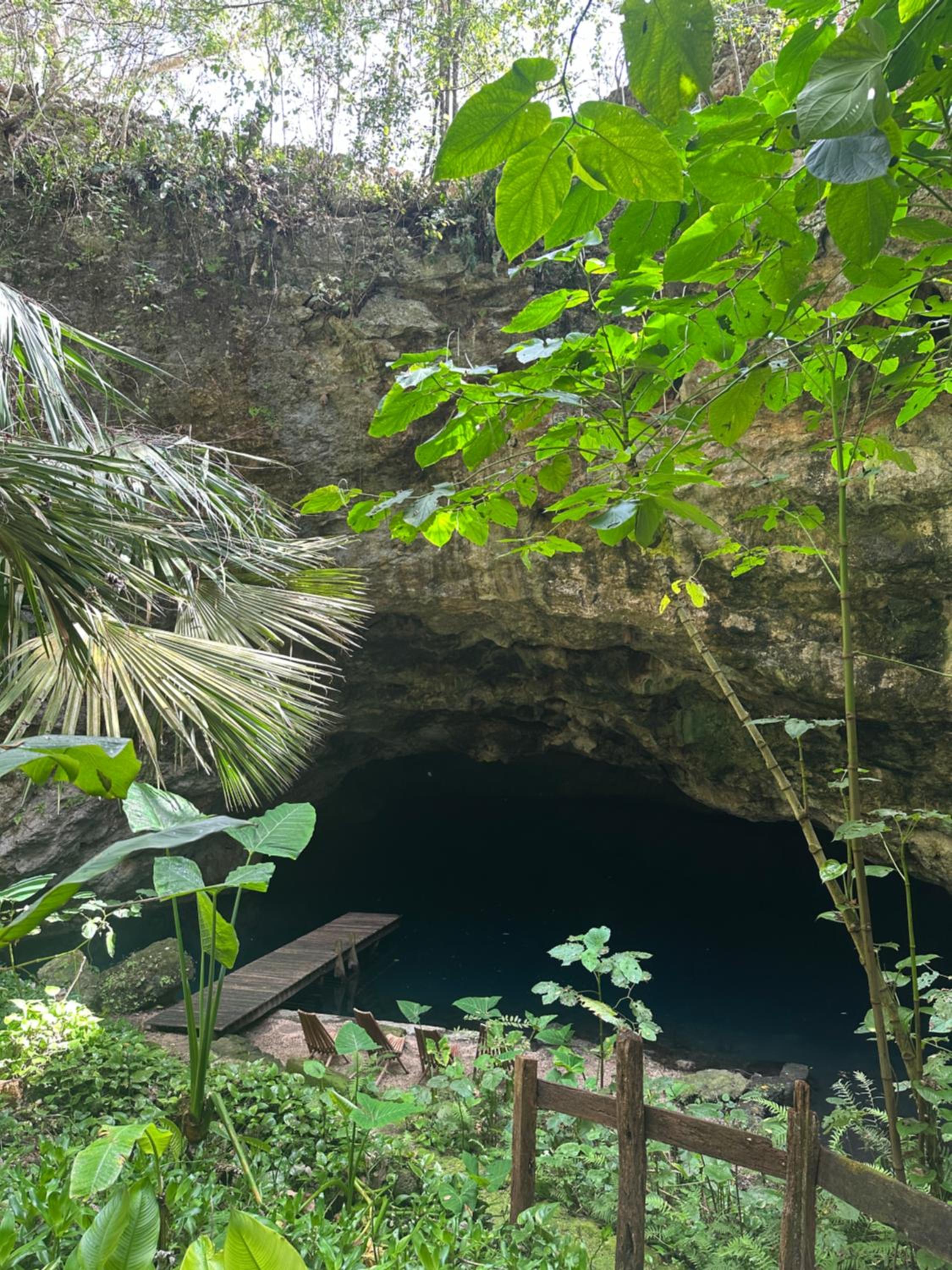 Hacienda Guesthouse with Private Cenote